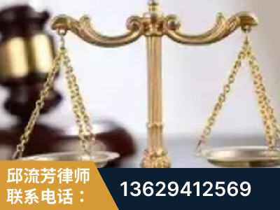 汕尾-委托诉讼代理人出庭
